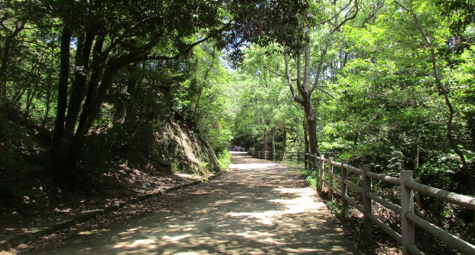 兵庫県立甲山森林公園